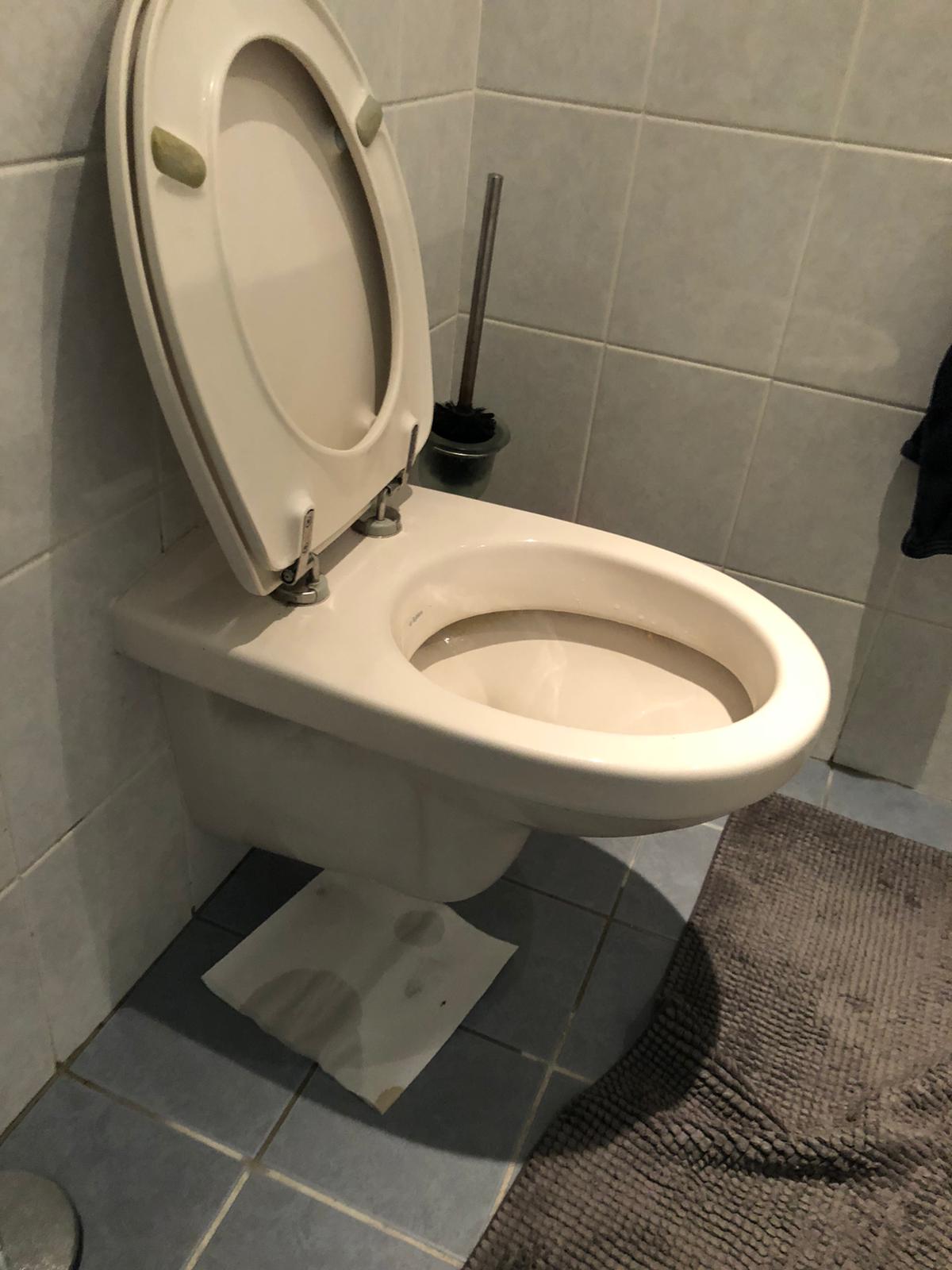 hangtoilet Krimpen aan den IJssel